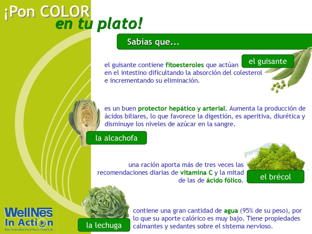 Sabías que... el guisante la alcachofa el brécol la lechuga