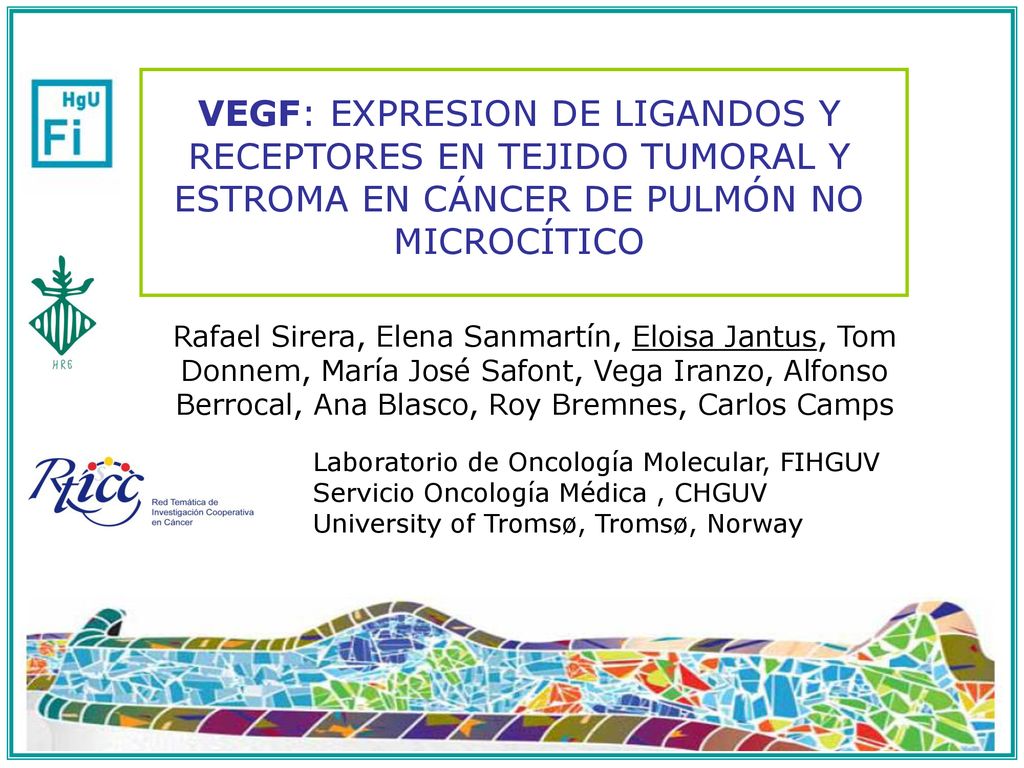VEGF: EXPRESION DE LIGANDOS Y RECEPTORES EN TEJIDO TUMORAL Y ESTROMA EN CÁNCER DE PULMÓN NO MICROCÍTICO