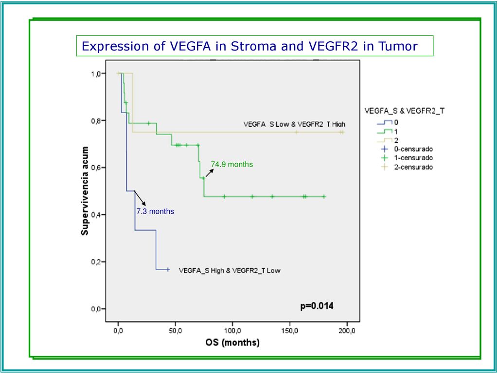 Expression of VEGFA in Stroma and VEGFR2 in Tumor