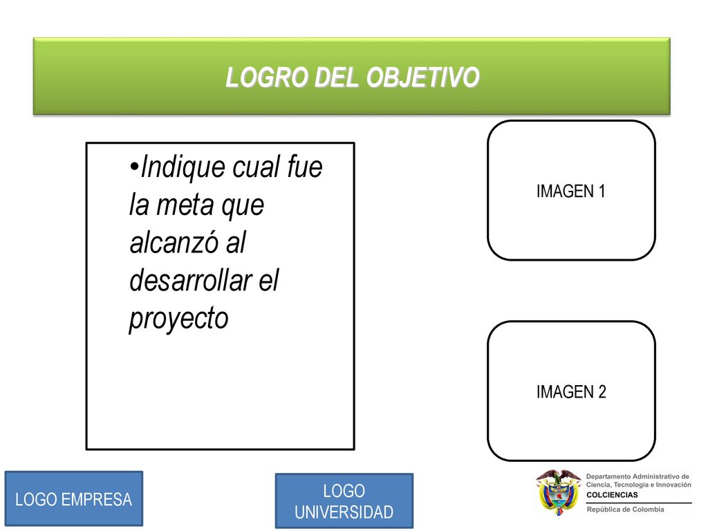 Indique cual fue la meta que alcanzó al desarrollar el proyecto