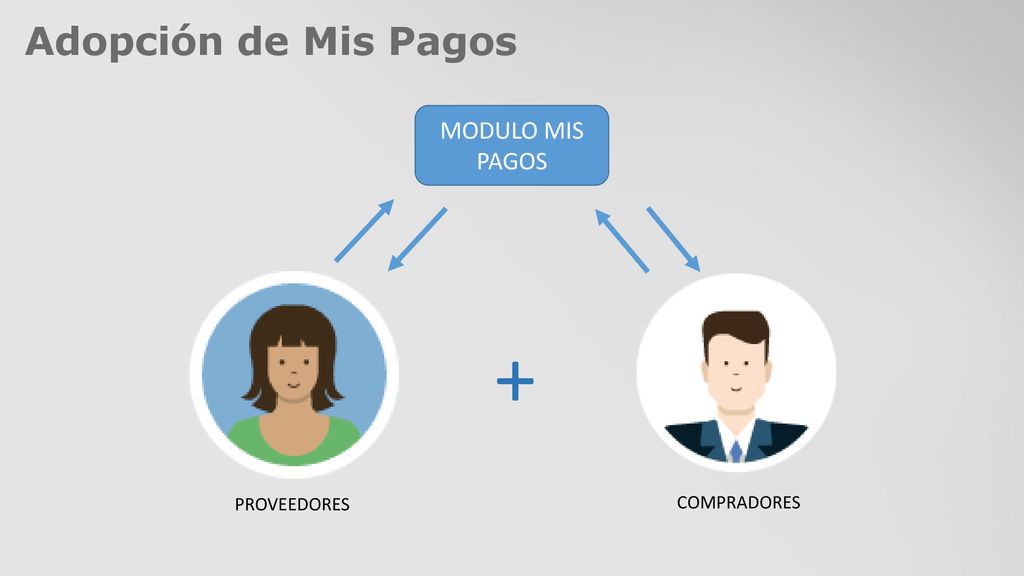 Adopción de Mis Pagos MODULO MIS PAGOS + PROVEEDORES COMPRADORES