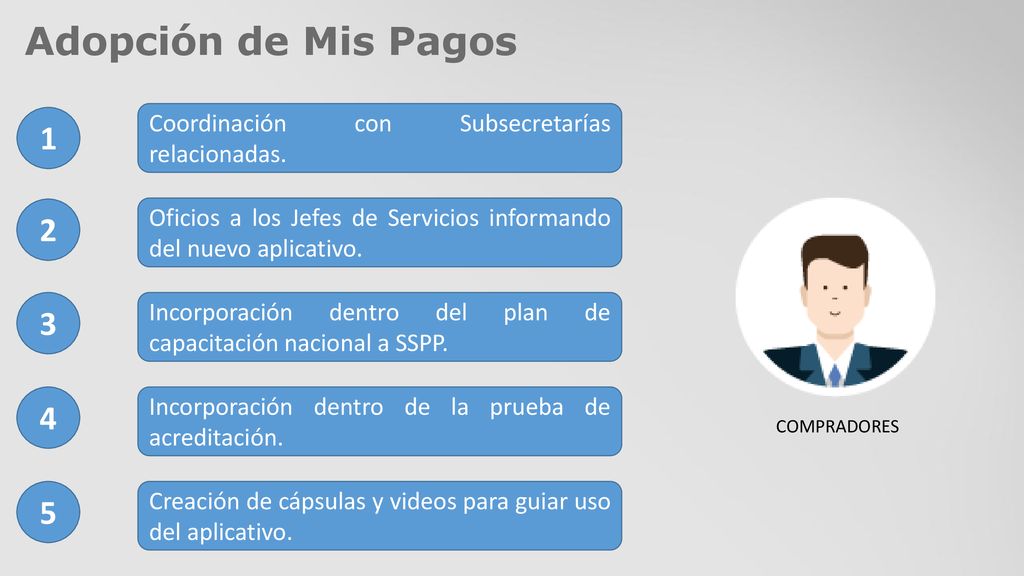 Adopción de Mis Pagos 1. Coordinación con Subsecretarías relacionadas. 2. Oficios a los Jefes de Servicios informando del nuevo aplicativo.