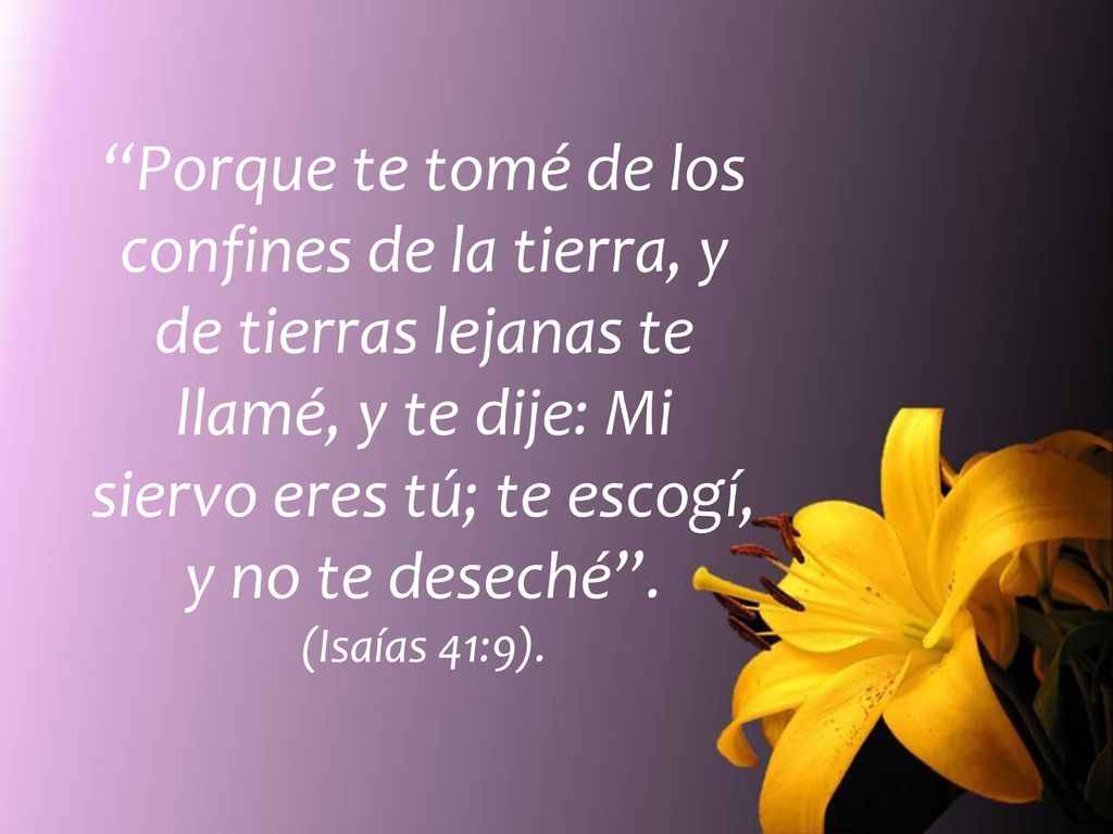 Porque te tomé de los confines de la tierra, y de tierras lejanas te llamé, y te dije: Mi siervo eres tú; te escogí, y no te deseché .