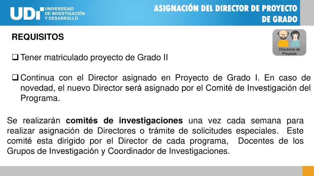 Directores de Proyecto