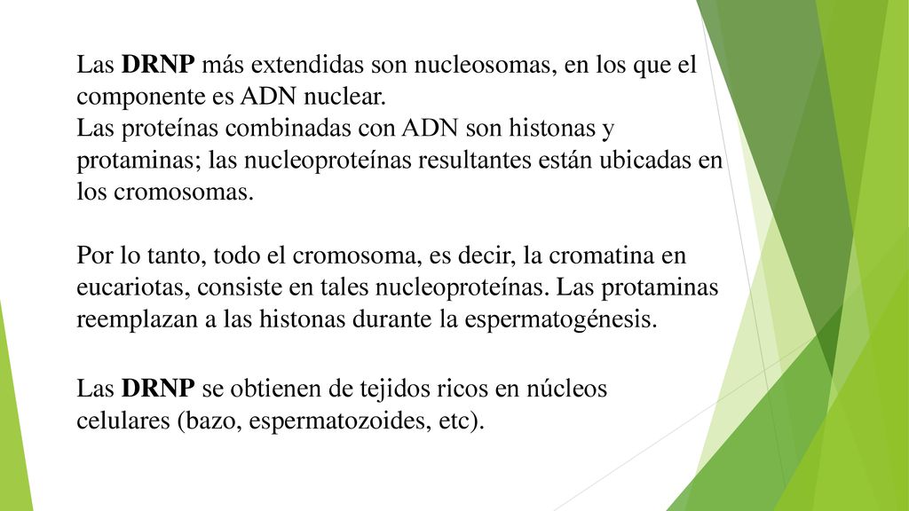 Las DRNP más extendidas son nucleosomas, en los que el componente es ADN nuclear. Las proteínas combinadas con ADN son histonas y protaminas; las nucleoproteínas resultantes están ubicadas en los cromosomas. Por lo tanto, todo el cromosoma, es decir, la cromatina en eucariotas, consiste en tales nucleoproteínas. Las protaminas reemplazan a las histonas durante la espermatogénesis.