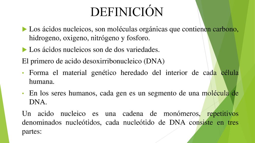 DEFINICIÓN Los ácidos nucleicos, son moléculas orgánicas que contienen carbono, hidrogeno, oxigeno, nitrógeno y fosforo.
