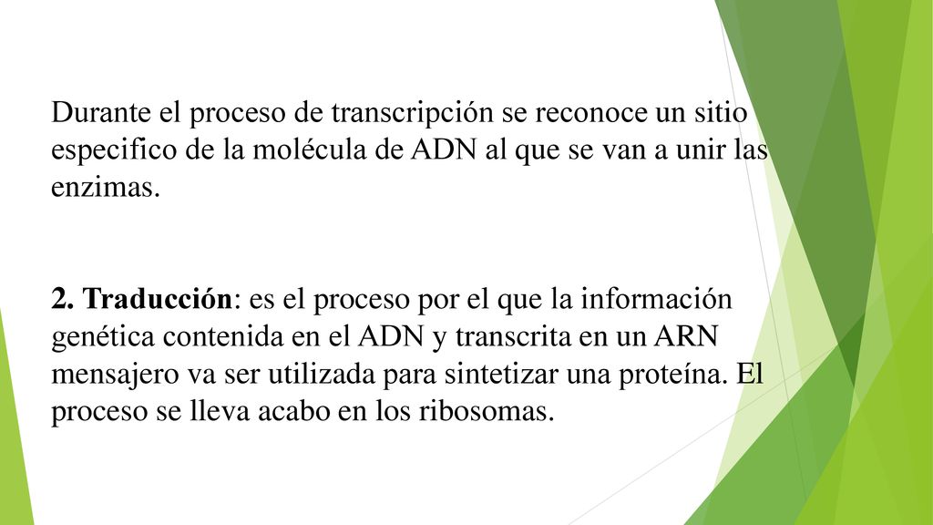 Durante el proceso de transcripción se reconoce un sitio especifico de la molécula de ADN al que se van a unir las enzimas.