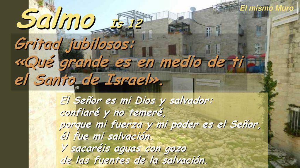 Salmo Is 12 Gritad jubilosos: «Qué grande es en medio de ti