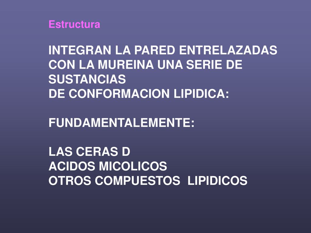 INTEGRAN LA PARED ENTRELAZADAS CON LA MUREINA UNA SERIE DE SUSTANCIAS