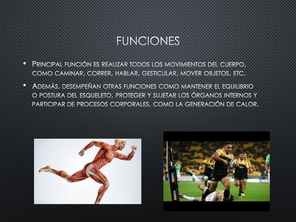 Funciones Principal función es realizar todos los movimientos del cuerpo, como caminar, correr, hablar, gesticular, mover objetos, etc.