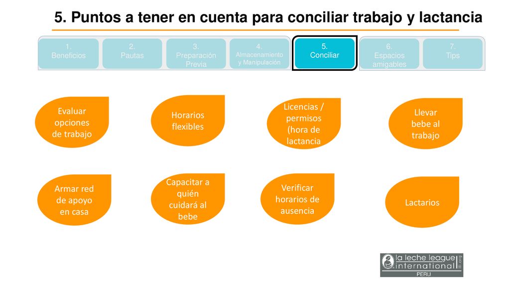 5. Puntos a tener en cuenta para conciliar trabajo y lactancia