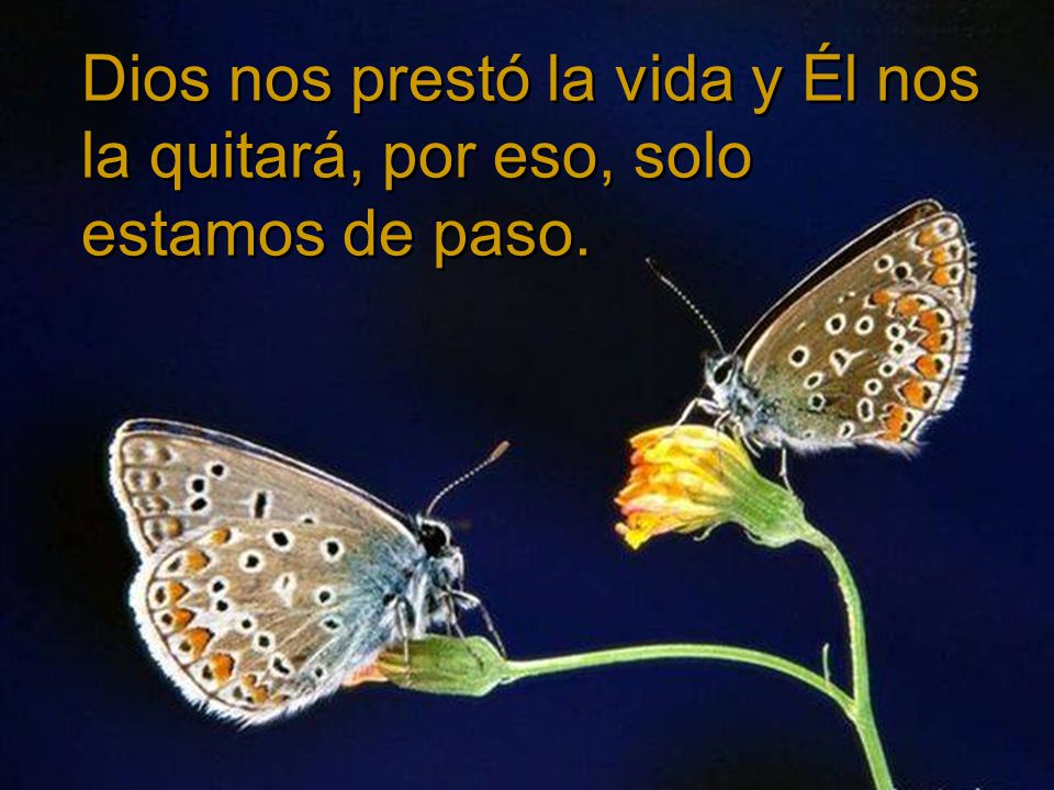 Dios nos prestó la vida y Él nos la quitará, por eso, solo estamos de paso.