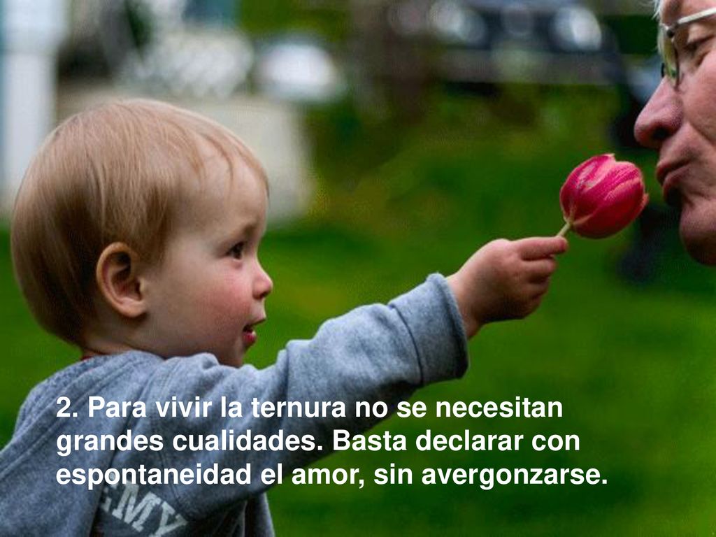 2. Para vivir la ternura no se necesitan grandes cualidades