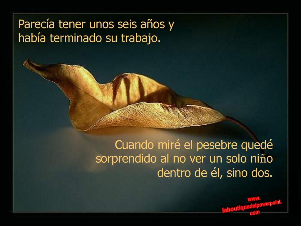 Parecía tener unos seis años y había terminado su trabajo.