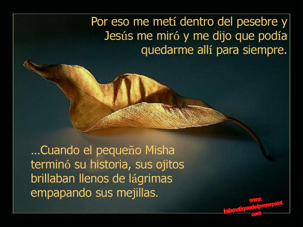 Por eso me metí dentro del pesebre y Jesús me miró y me dijo que podía quedarme allí para siempre.