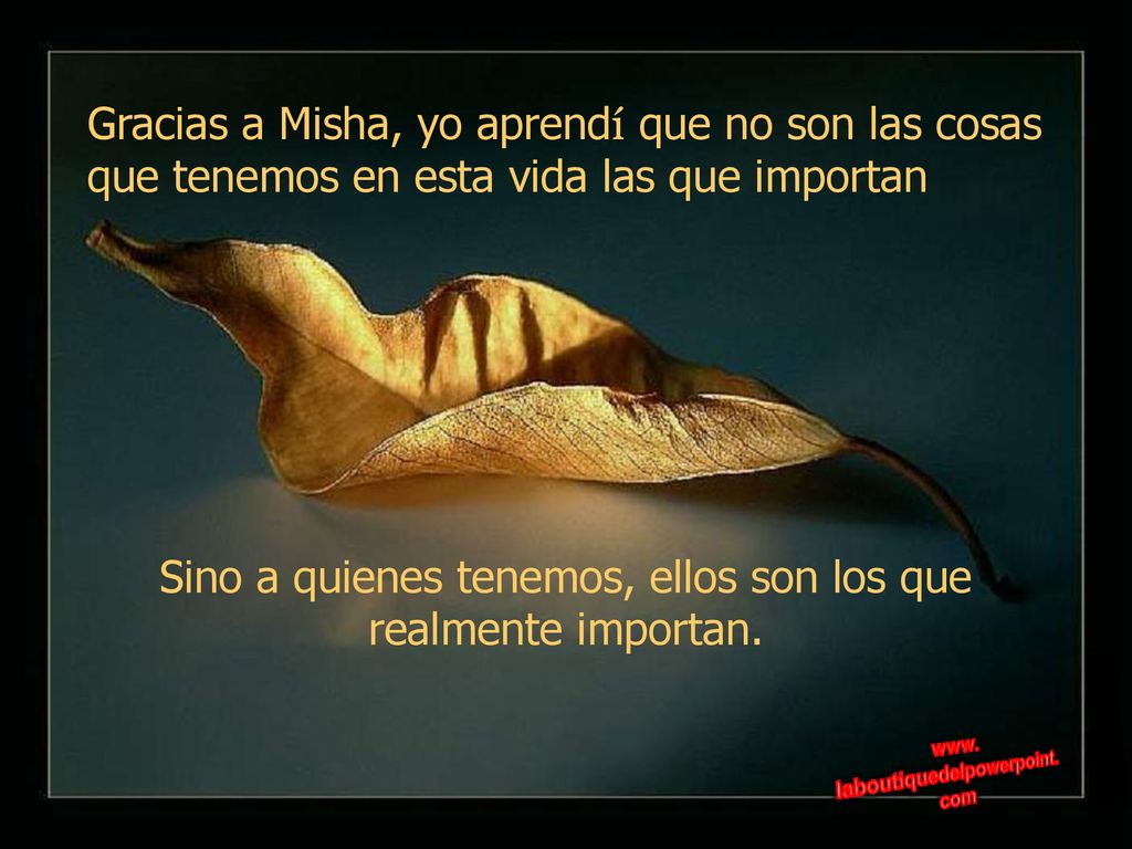 Sino a quienes tenemos, ellos son los que realmente importan.