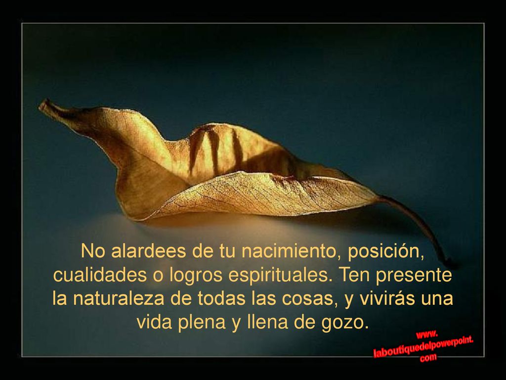 No alardees de tu nacimiento, posición, cualidades o logros espirituales.