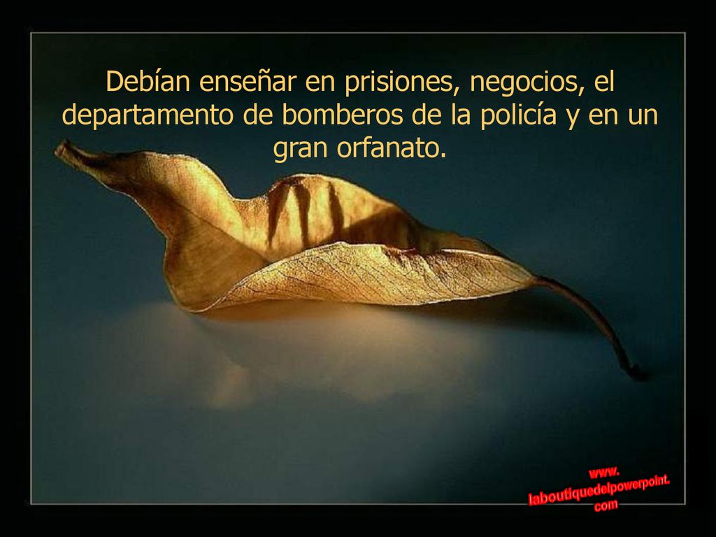 Debían enseñar en prisiones, negocios, el departamento de bomberos de la policía y en un gran orfanato.