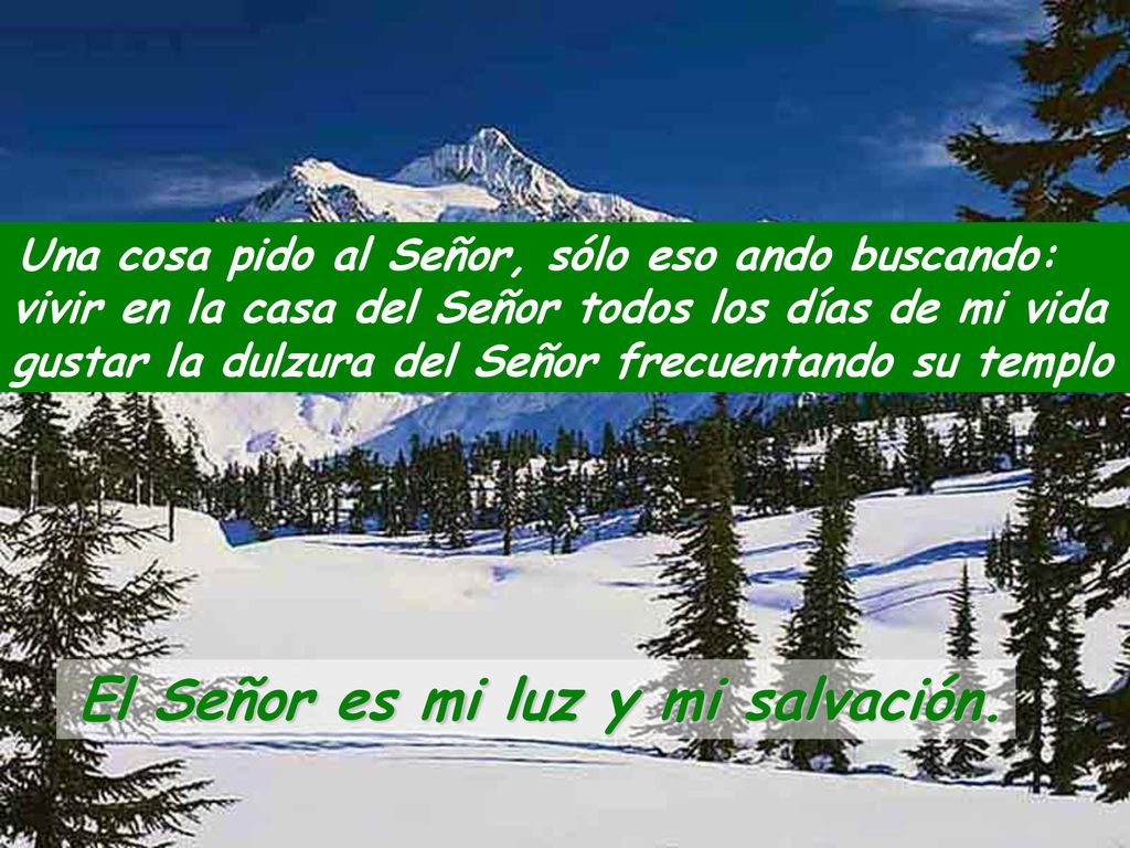Una cosa pido al Señor, sólo eso ando buscando: vivir en la casa del Señor todos los días de mi vida gustar la dulzura del Señor frecuentando su templo