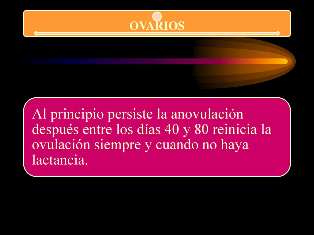 OVARIOS Al principio persiste la anovulación después entre los días 40 y 80 reinicia la ovulación siempre y cuando no haya lactancia.