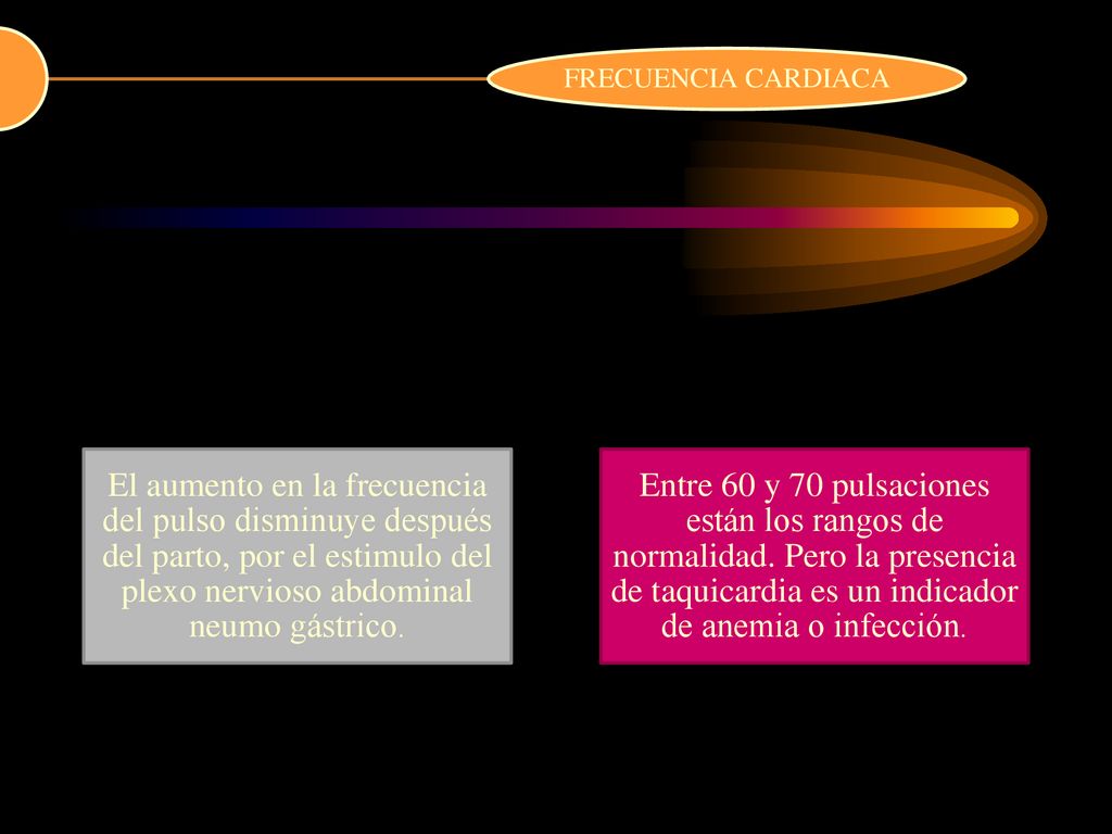 FRECUENCIA CARDIACA El aumento en la frecuencia del pulso disminuye después del parto, por el estimulo del plexo nervioso abdominal neumo gástrico.
