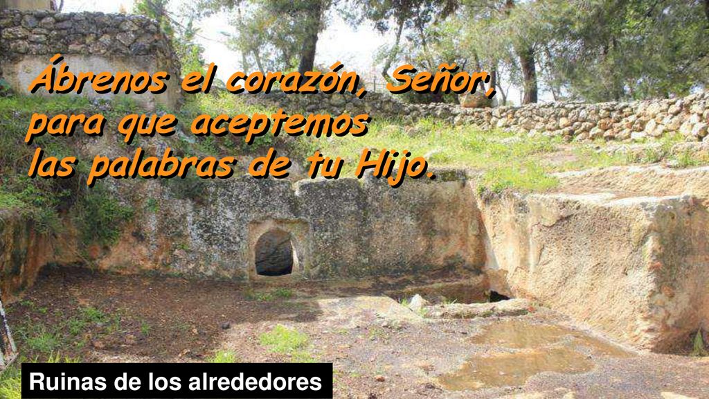 Ábrenos el corazón, Señor, para que aceptemos las palabras de tu Hijo.