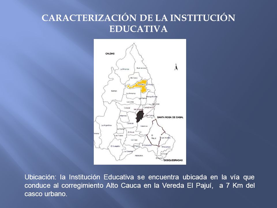 CARACTERIZACIÓN DE LA INSTITUCIÓN EDUCATIVA