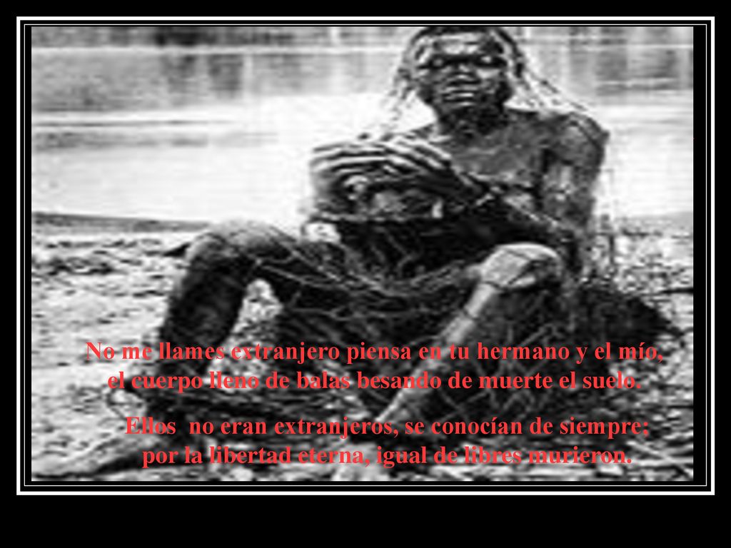No me llames extranjero piensa en tu hermano y el mío, el cuerpo lleno de balas besando de muerte el suelo.