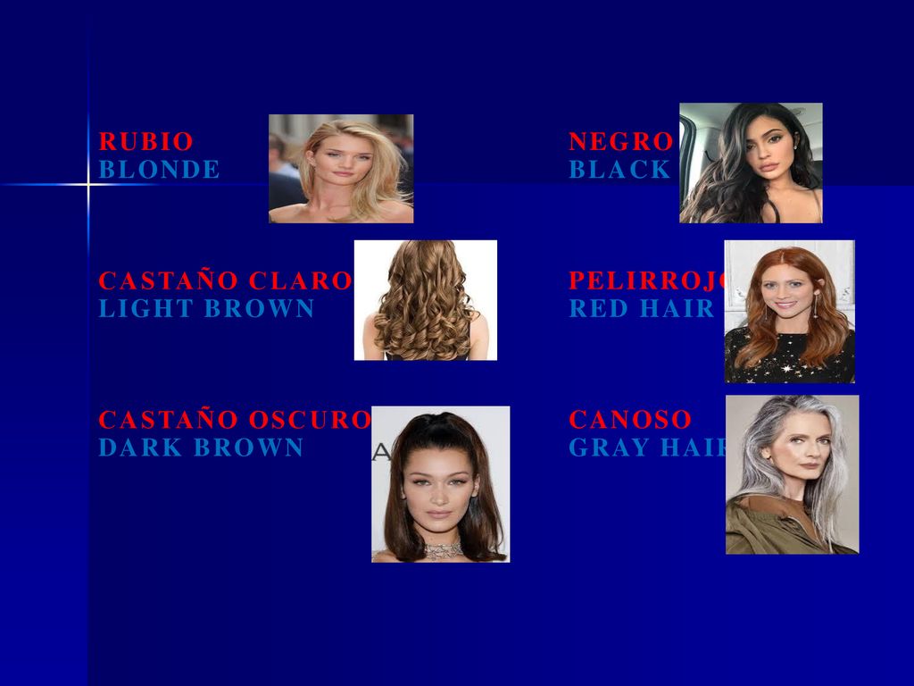 rubio Negro. blonde. black. castaño claro. pelirrojo. Light brown. Red hair. castaño oscuro.