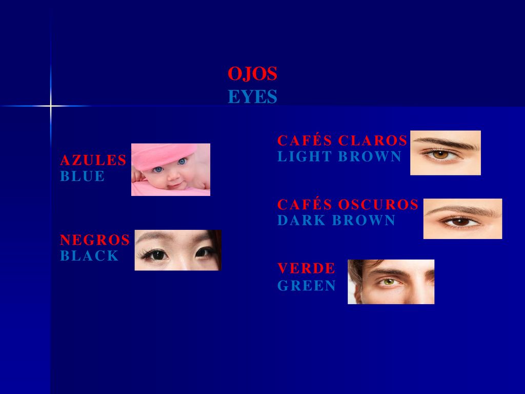 ojos eyes cafés claros light brown azules blue cafés oscuros
