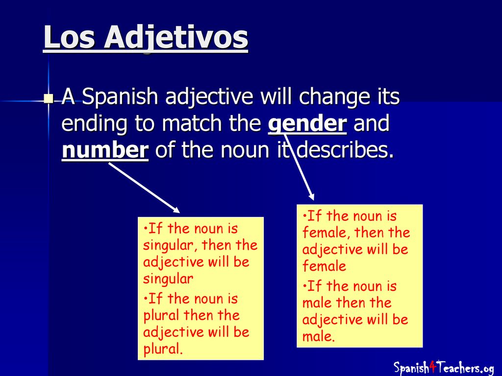 Los Adjetivos A Spanish adjective will change its ending to match the gender and number of the noun it describes.