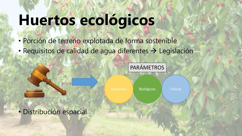Huertos ecológicos Porción de terreno explotada de forma sostenible