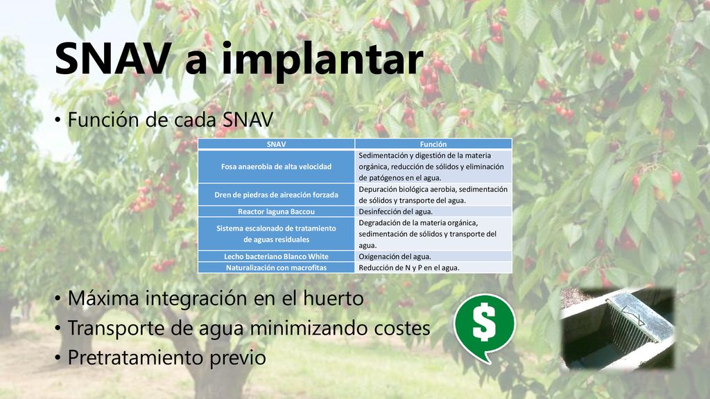 SNAV a implantar Función de cada SNAV Máxima integración en el huerto