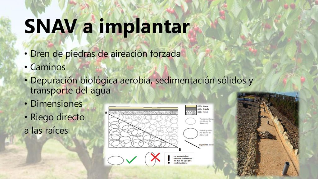SNAV a implantar Dren de piedras de aireación forzada Caminos