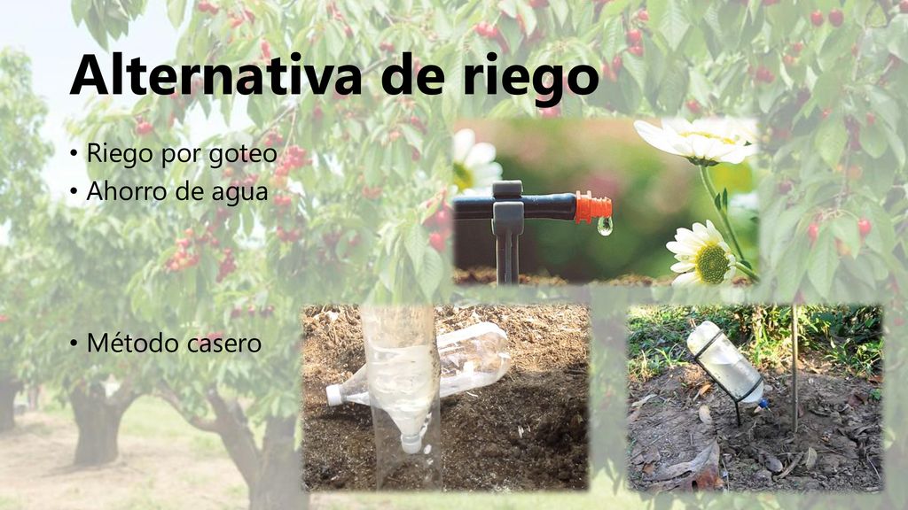 Alternativa de riego Riego por goteo Ahorro de agua Método casero