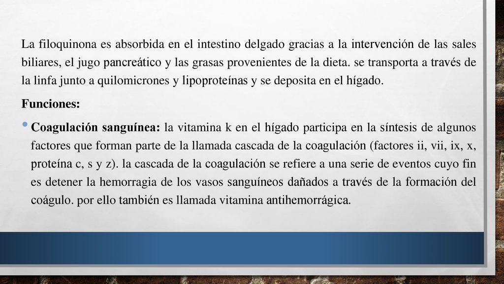 La filoquinona es absorbida en el intestino delgado gracias a la intervención de las sales biliares, el jugo pancreático y las grasas provenientes de la dieta. se transporta a través de la linfa junto a quilomicrones y lipoproteínas y se deposita en el hígado.