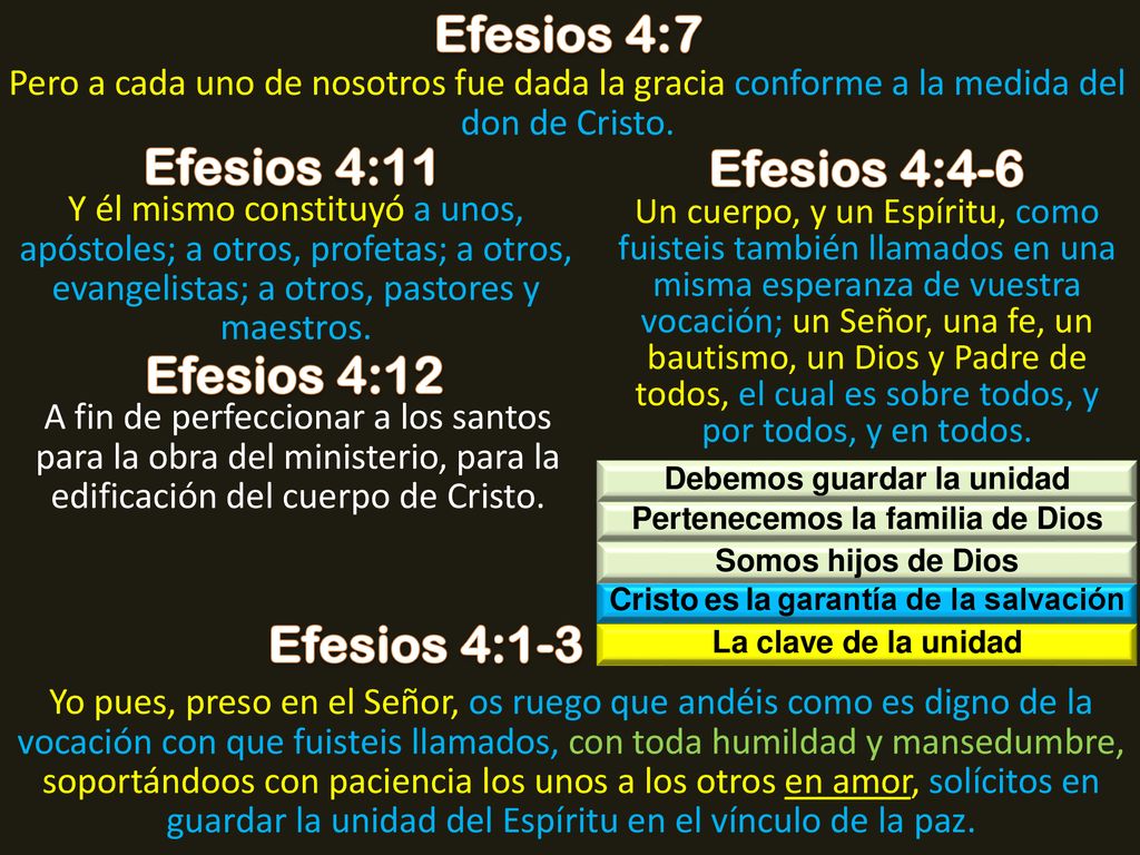 Efesios 4:7 Efesios 4:11 Efesios 4:4-6 Efesios 4:12 Efesios 4:1-3