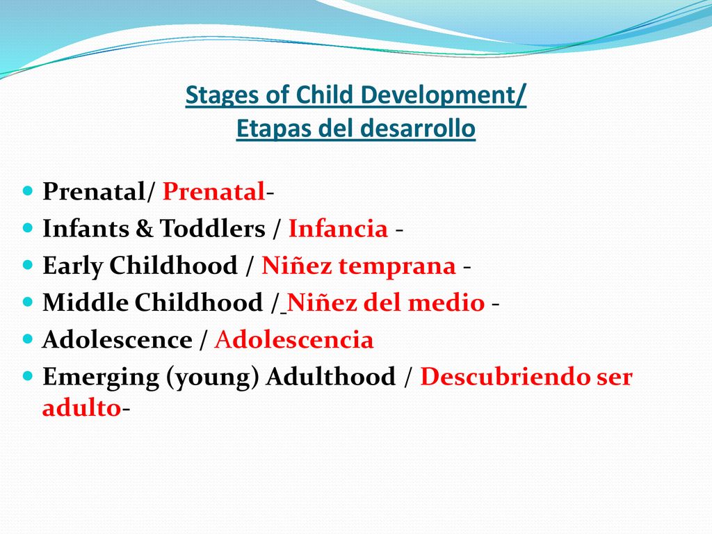 Stages of Child Development/ Etapas del desarrollo