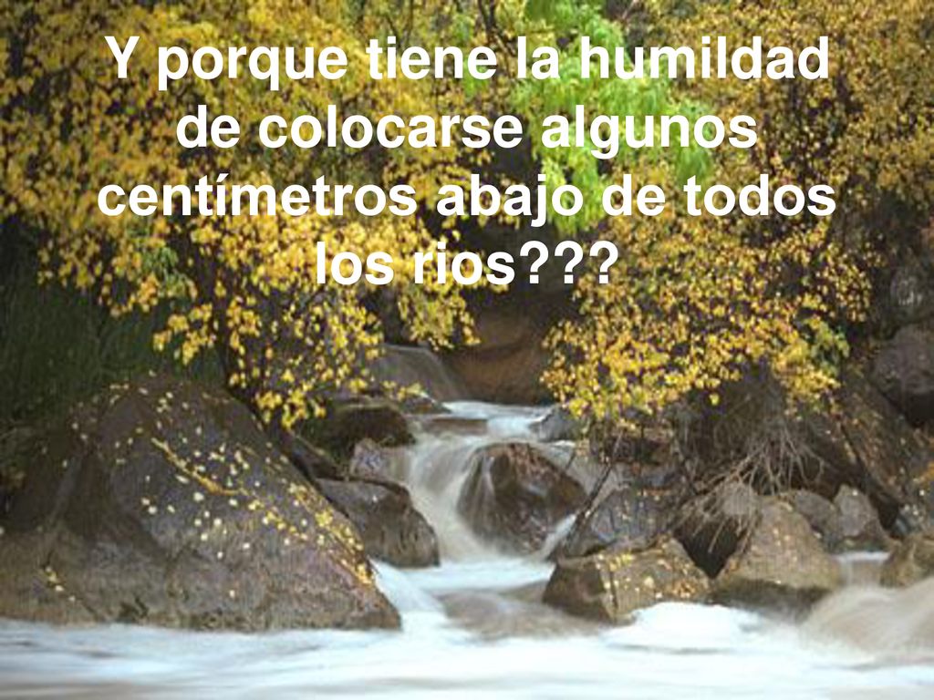Y porque tiene la humildad de colocarse algunos centímetros abajo de todos los rios