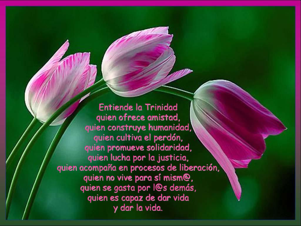 Entiende la Trinidad quien ofrece amistad, quien construye humanidad, quien cultiva el perdón, quien promueve solidaridad, quien lucha por la justicia, quien acompaña en procesos de liberación, quien no vive para sí quien se gasta por demás, quien es capaz de dar vida y dar la vida.