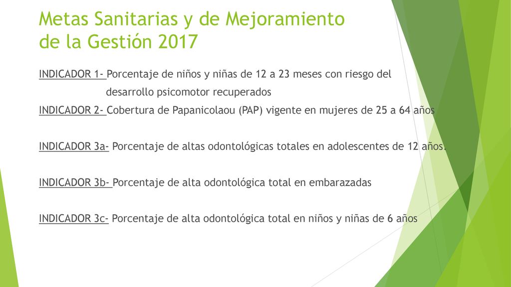 Metas Sanitarias y de Mejoramiento de la Gestión 2017