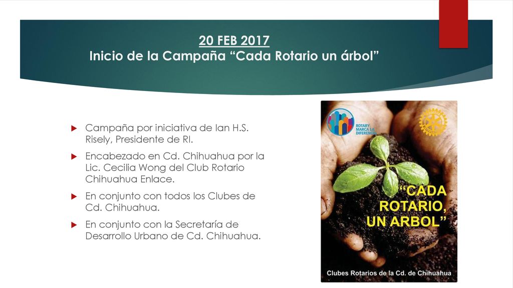 20 FEB 2017 Inicio de la Campaña Cada Rotario un árbol