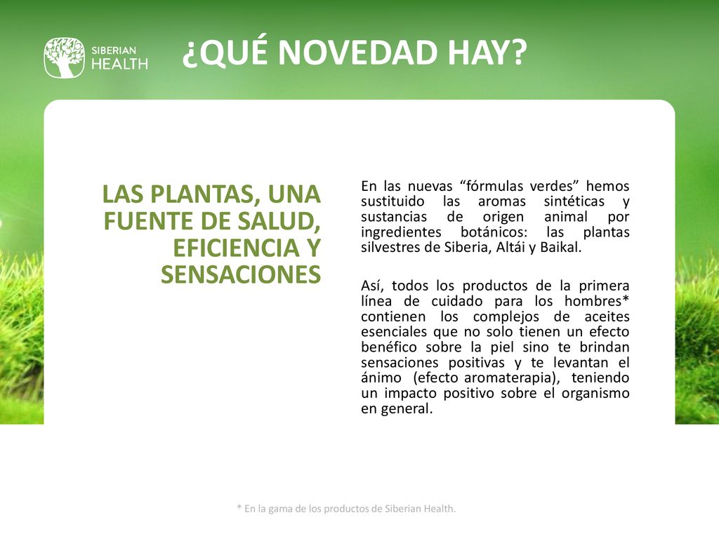 ¿QUÉ NOVEDAD HAY LAS PLANTAS, UNA FUENTE DE SALUD, EFICIENCIA Y SENSACIONES.