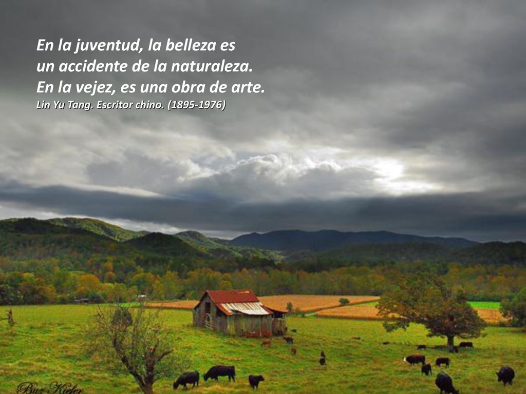 En la juventud, la belleza es un accidente de la naturaleza.