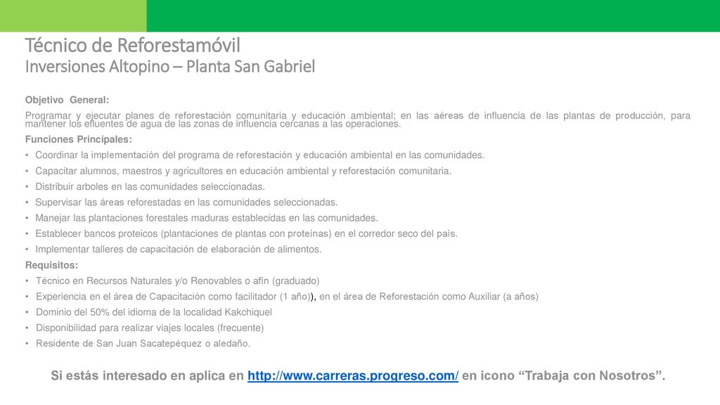 Técnico de Reforestamóvil Inversiones Altopino – Planta San Gabriel