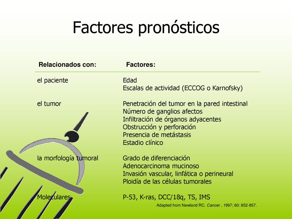 Factores pronósticos Relacionados con: Factores: el paciente Edad