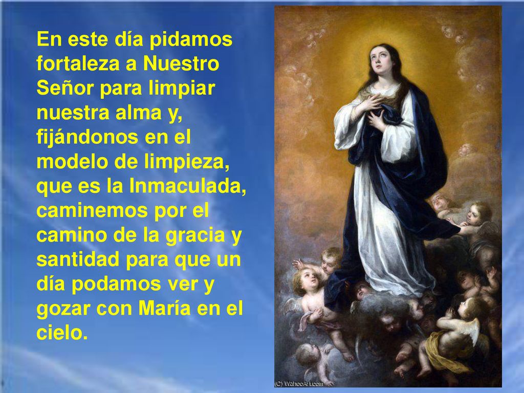 En este día pidamos fortaleza a Nuestro Señor para limpiar nuestra alma y, fijándonos en el modelo de limpieza, que es la Inmaculada, caminemos por el camino de la gracia y santidad para que un día podamos ver y gozar con María en el cielo.