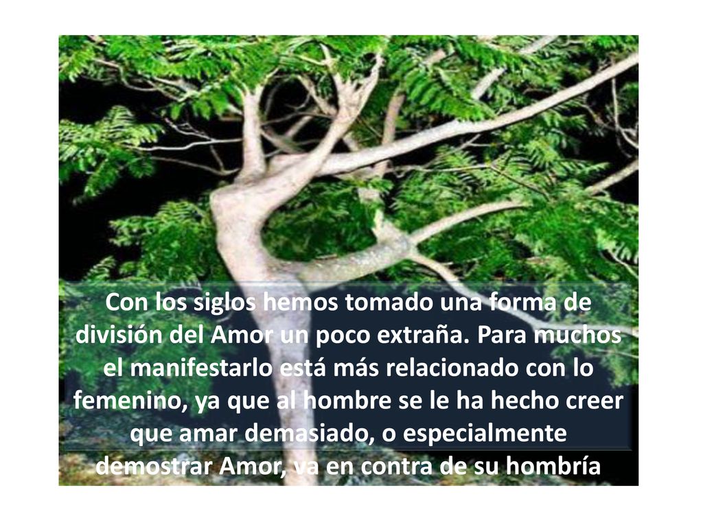 Con los siglos hemos tomado una forma de división del Amor un poco extraña.