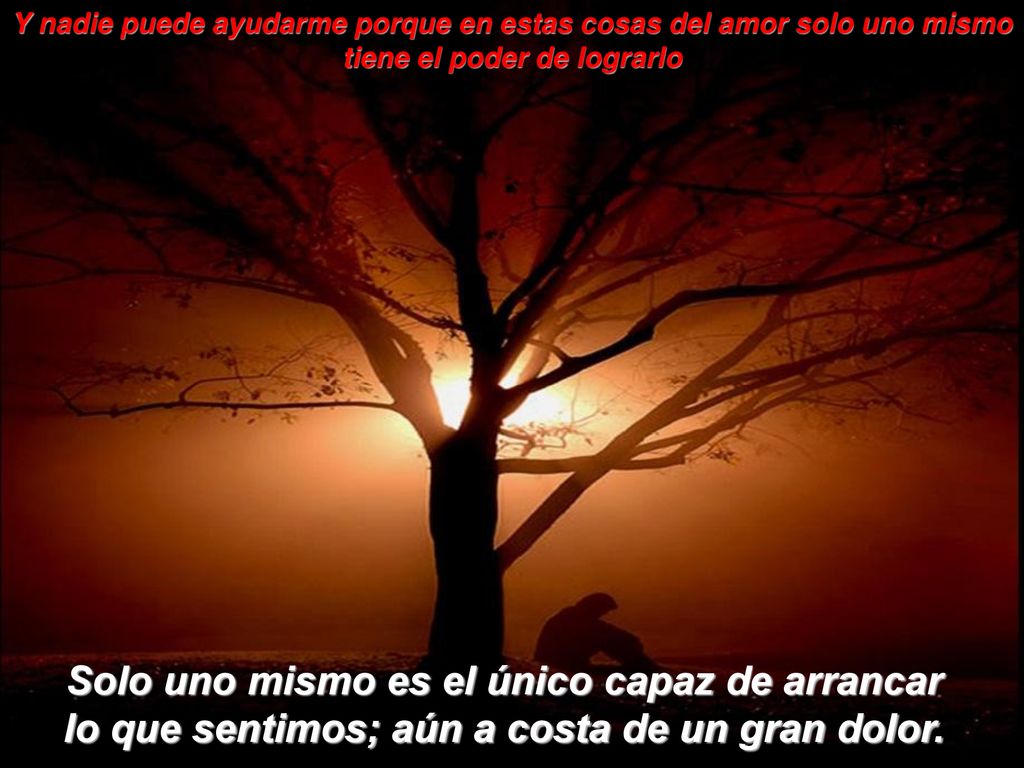 Y nadie puede ayudarme porque en estas cosas del amor solo uno mismo tiene el poder de lograrlo