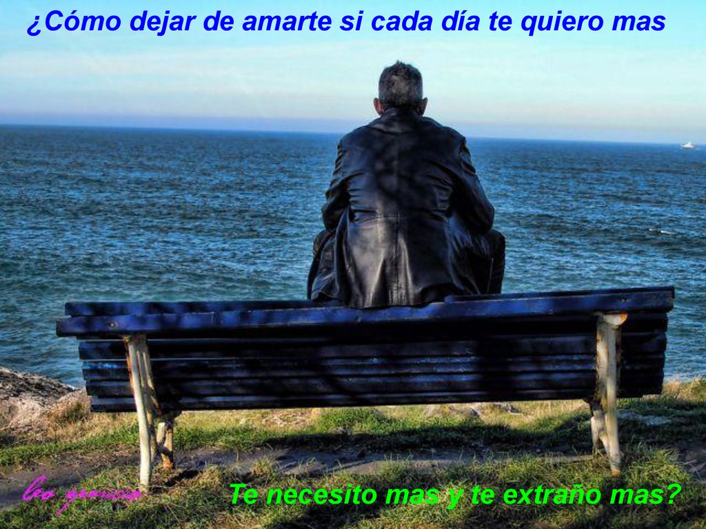 ¿Cómo dejar de amarte si cada día te quiero mas